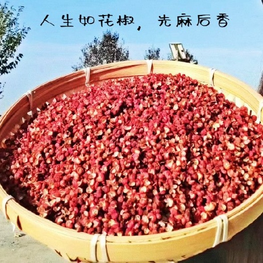 武安市大红袍花椒
