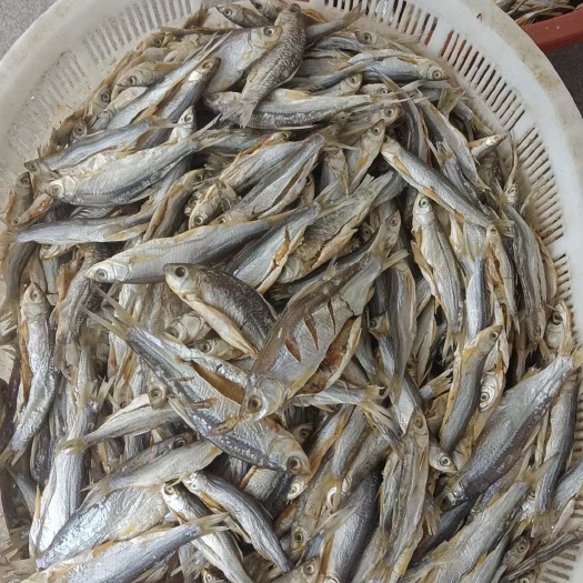 罗非鱼干
