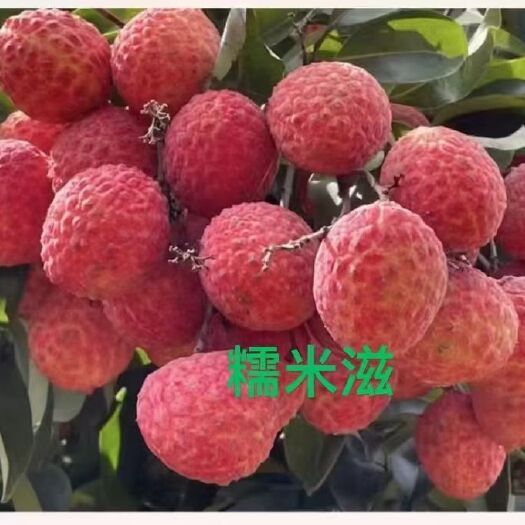 荔枝