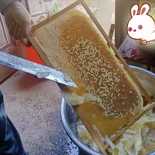 赣州江西南康蜂蜜天然成熟24月保质营养滋补品非药物可选快递配送