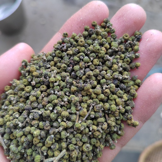 洞口县吴茱萸