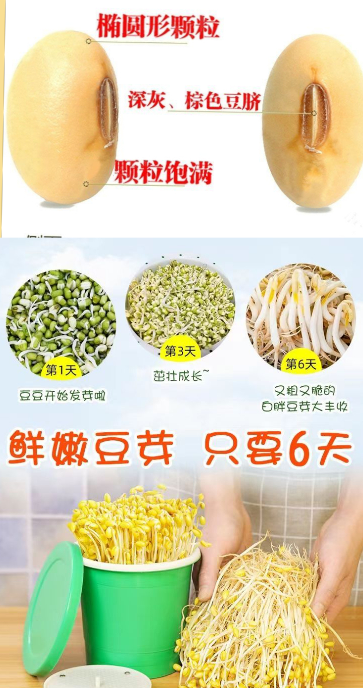 東北小黃豆發(fā)豆芽黃豆非轉(zhuǎn)基因古老小黃豆豆?jié){小黃豆包郵