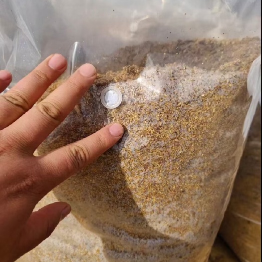 郓城县发酵玉米合成饲料，，适合牛羊马，鹿，鸡鸭鹅，鱼虾蟹，直接喂可