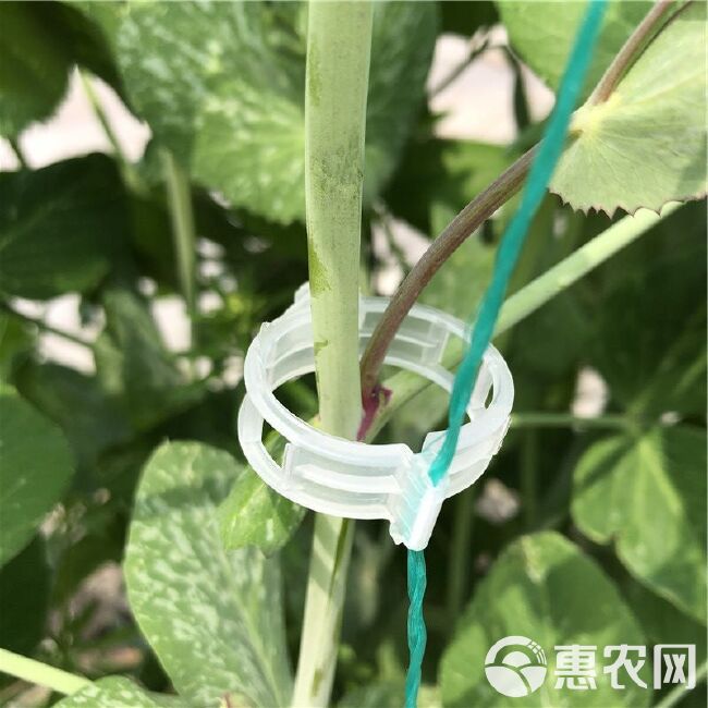 扶蔓固定夹 绑蔓夹固定卡扣 绿植夹 固定器秧苗定型