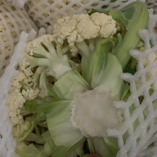 瑞安市花菜