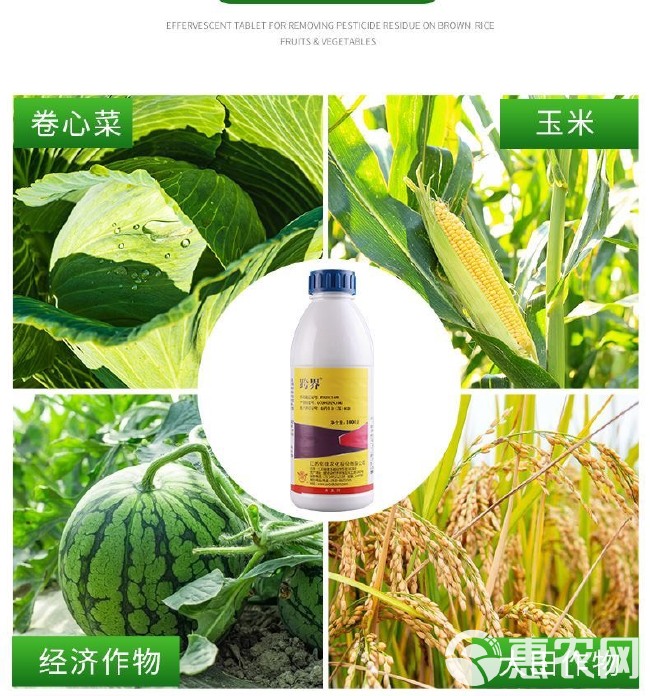 剑牌跨界30%噻虫嗪杀虫剂 蚜虫稻飞虱白粉虱蓟马蚧壳虫蔬菜果