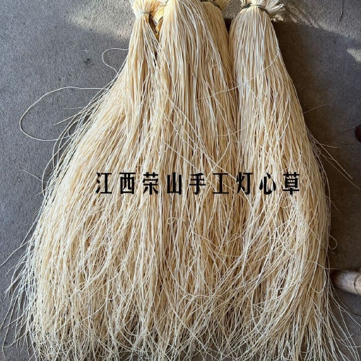 抚州灯心草