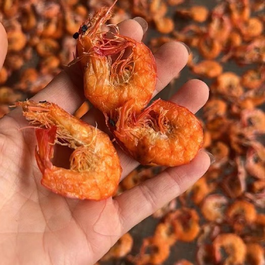 阳江软壳虾