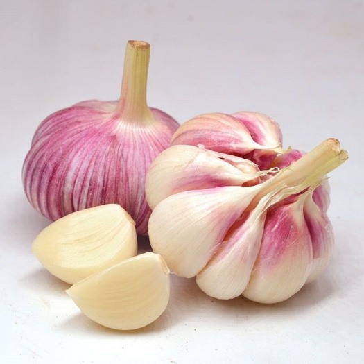 滑县大蒜