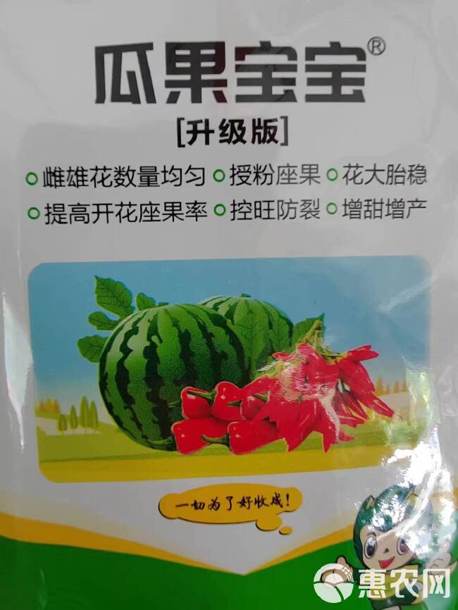 瓜果宝宝套餐，雌雄花数量均匀。授粉座果。花大胎稳，控旺