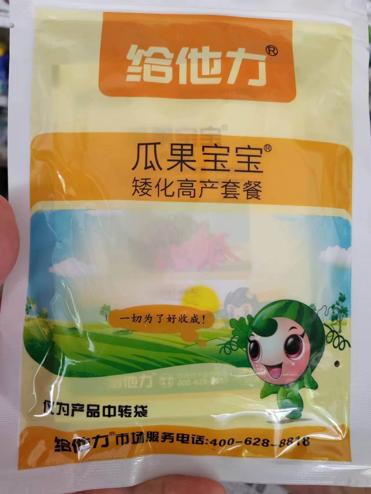 瓜果宝宝套餐，雌雄花数量均匀。授粉座果。花大胎稳，控旺