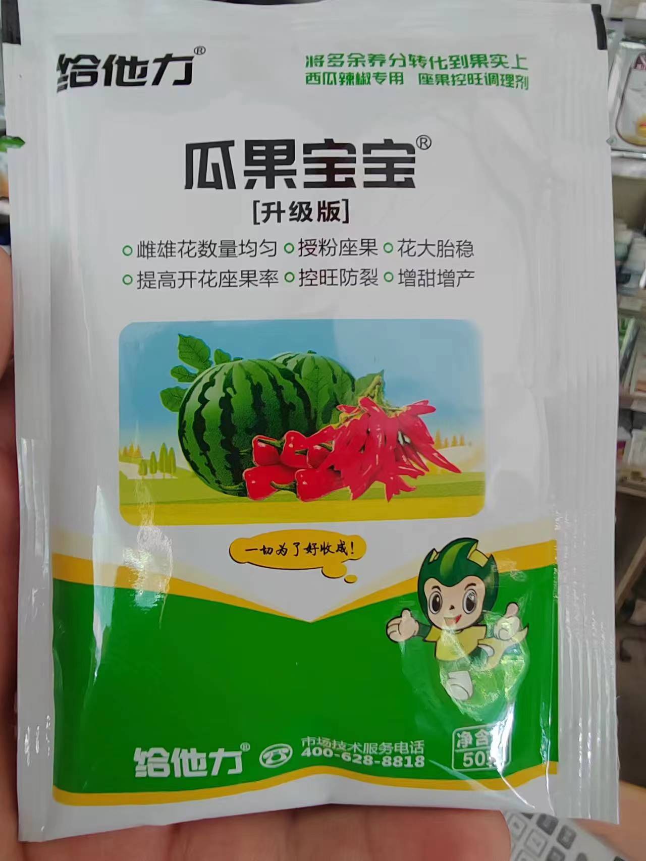 瓜果宝宝套餐，雌雄花数量均匀。授粉座果。花大胎稳，控旺