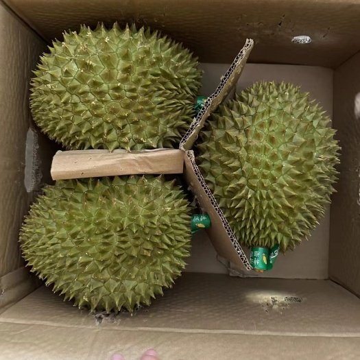 凭祥市榴莲