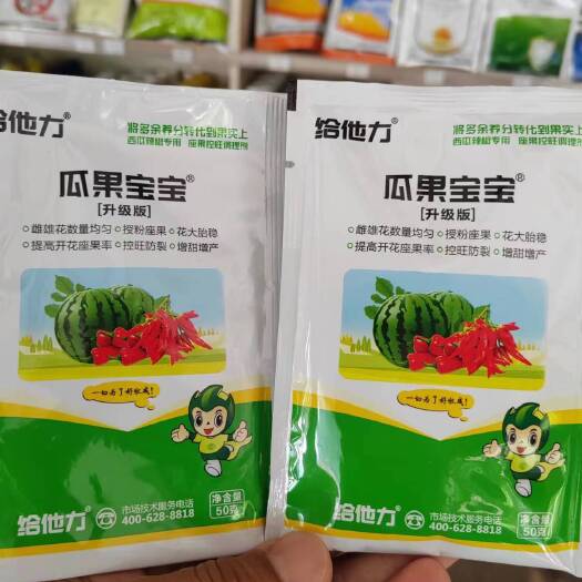 扶沟县瓜果宝宝套餐，雌雄花数量均匀。授粉座果。花大胎稳，控旺