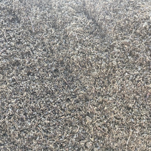 衡水喂牛羊饲料