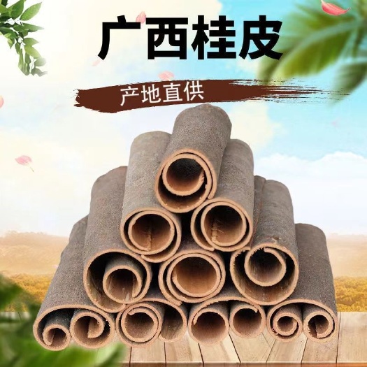 平南县广西桂皮肉桂油桂玉桂产地大量直发