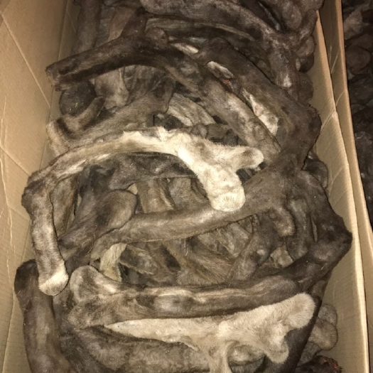 乌鲁木齐哈萨克斯坦鲜鹿茸500吨