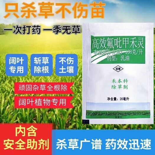 郑州高效氟吡甲禾灵 108克/升 高盖一年生禾本科杂草芦苇