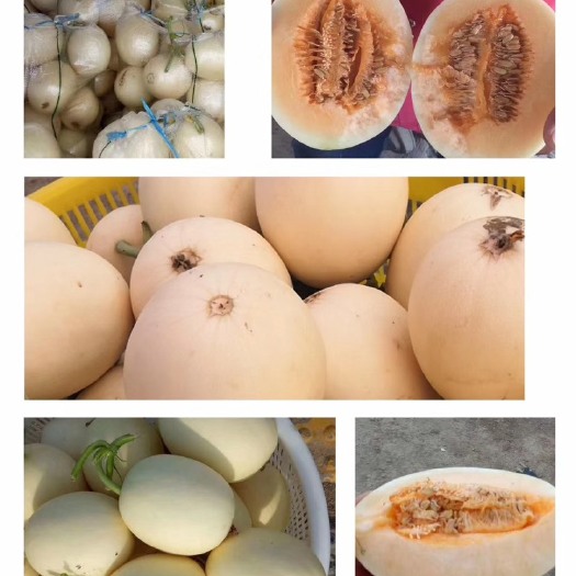 上蔡县东方蜜