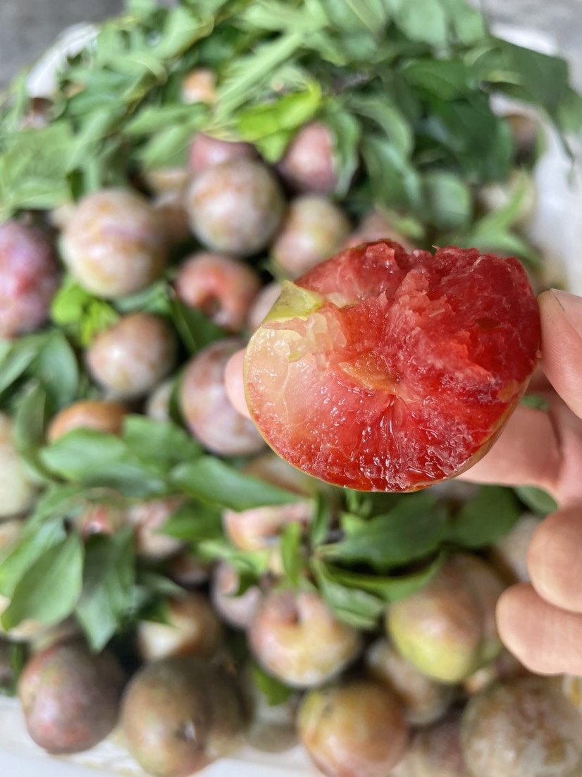 ƽغԴˬˮժ