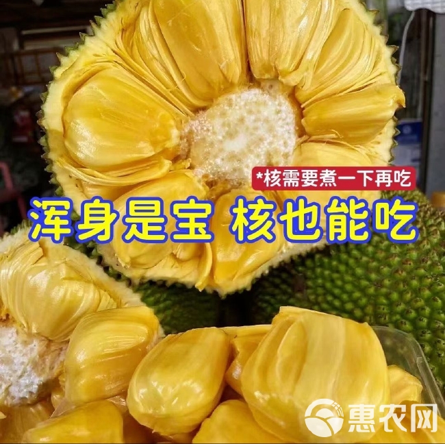 海南菠萝蜜新鲜水果包邮黄肉菠萝菠萝蜜一整个水果新鲜整箱当季红