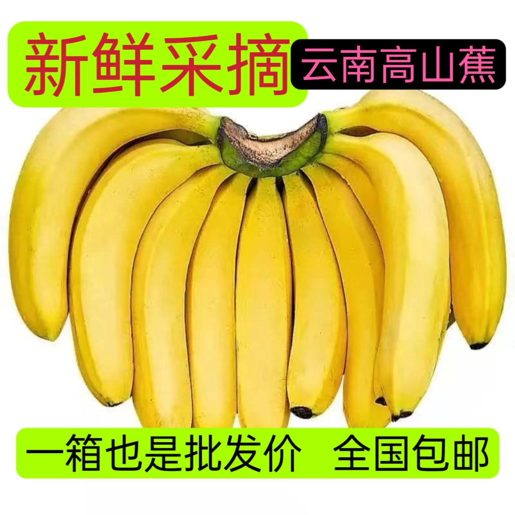 红河县现摘现发云南高山甜大香蕉带箱10斤全国包邮