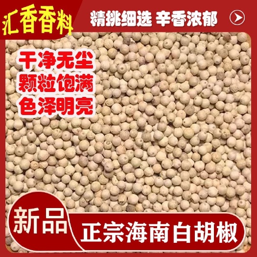 南宁海南白胡椒过筛无尘足干批发