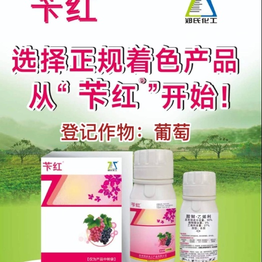 苄红葡萄着色登记葡萄提前上市着色均匀口感好不软果