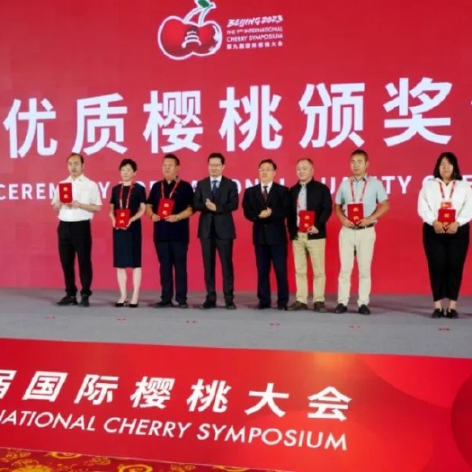 汉源县汉源樱桃在国际樱桃节中大奖了，你确定不尝尝。