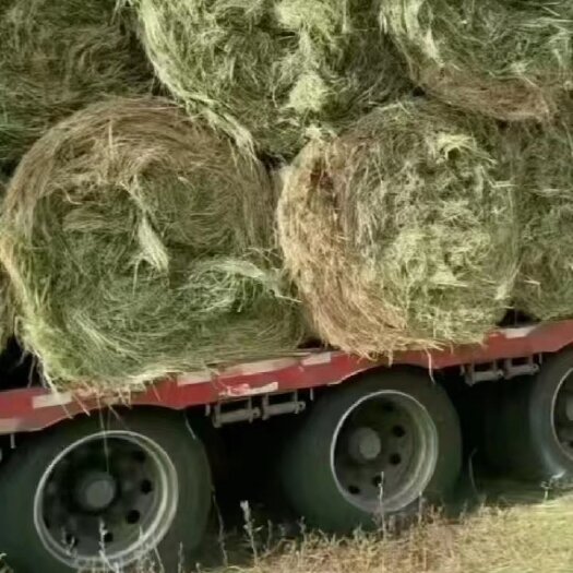 龙江县羊草，稻草，草颗粒，玉米秸秆