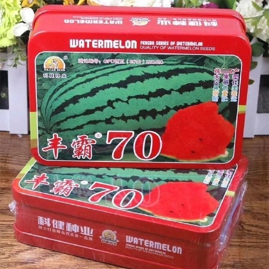 丰霸70大果超甜脆杂交西瓜种子沙瓤红心少籽皮薄耐运抗病强
