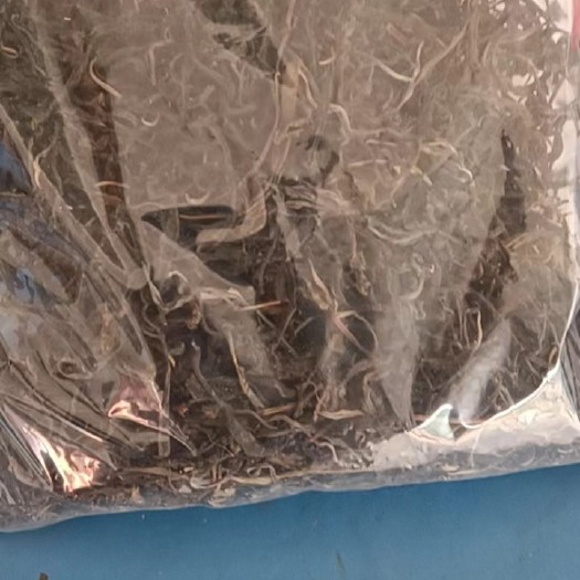 长沙台阶茶