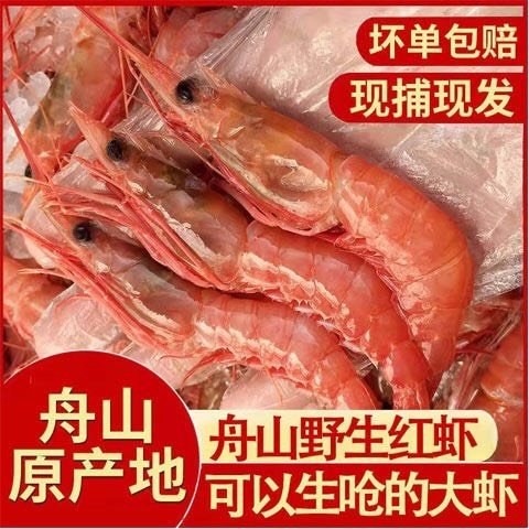 舟山舟山大红虾生呛刺身船冻红虾樱花虾