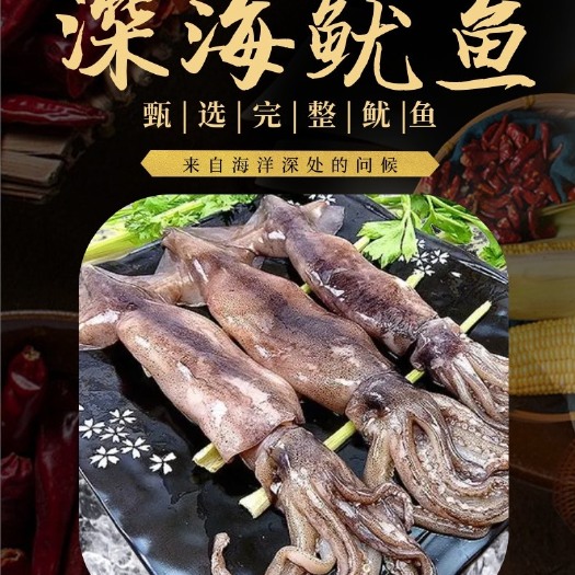 舟山雷达网本港鱿鱼烧烤原料食材