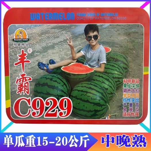 丰霸C929特大西瓜种子高圆形大红瓤皮薄耐裂春季东北地雷