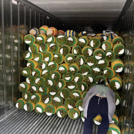 凭祥市越南菠萝蜜