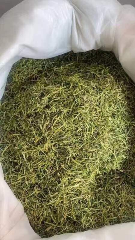 隆回县山银花