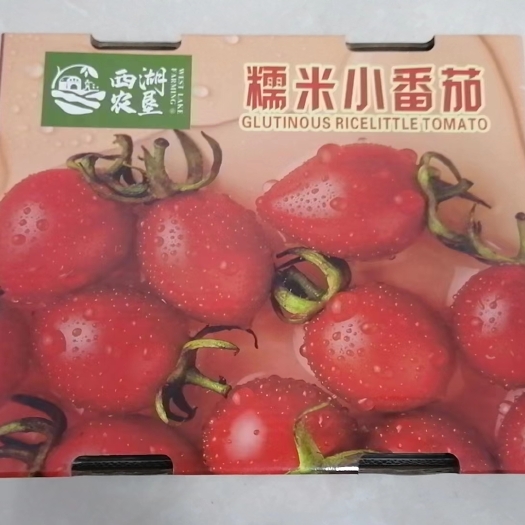 汉寿县釜山88圣女果