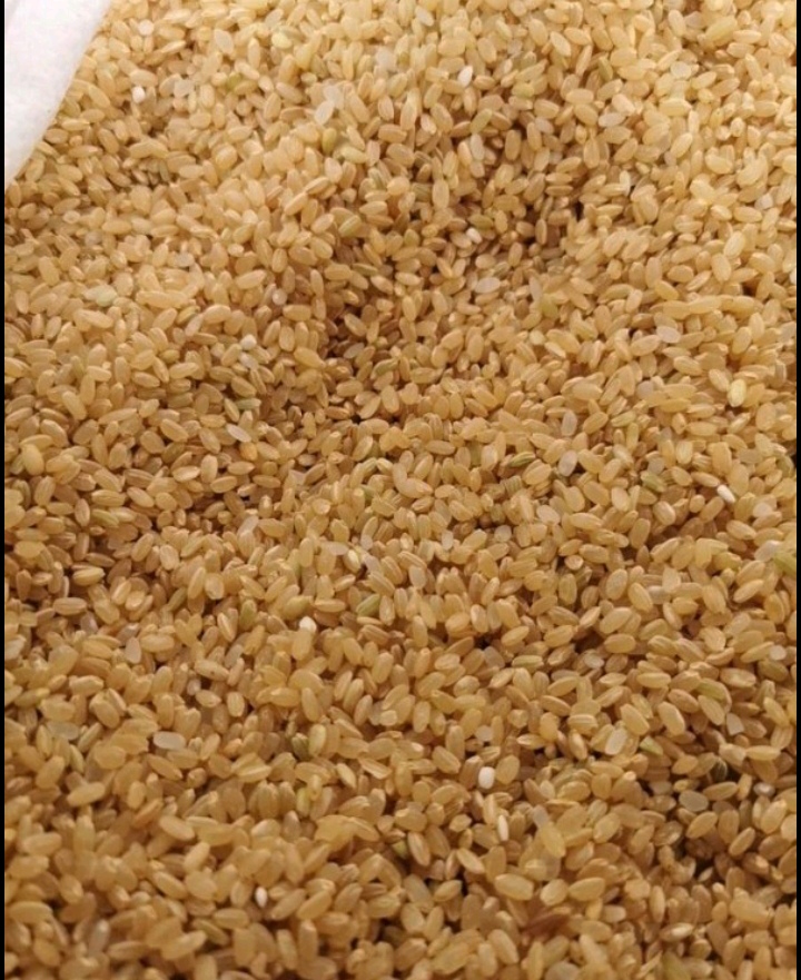 贵阳糙米碎米