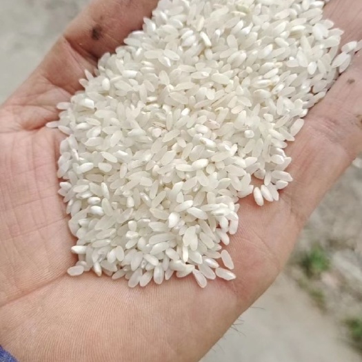 宾阳县粉米，珍桂大米，河粉，肠粉专用
