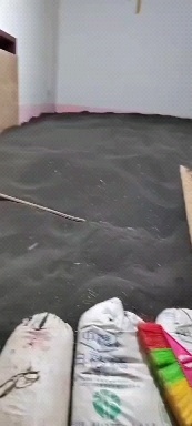 罗平县罗平油菜籽高芥酸含油高