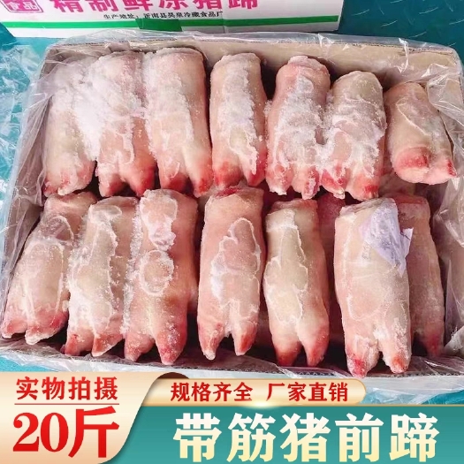 南京新鲜猪蹄冷冻带筋猪前后蹄20斤生猪手猪肘子猪脚卤菜食材包邮