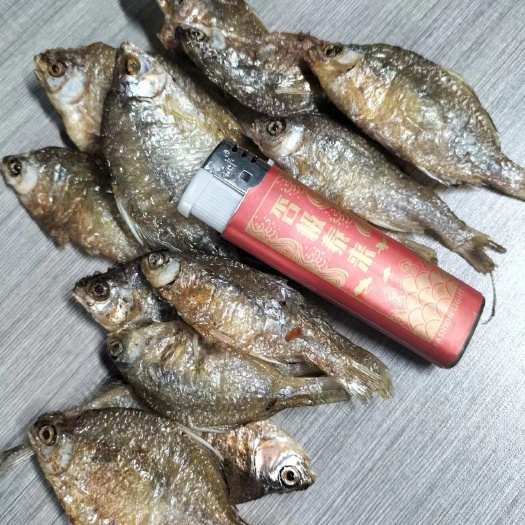 都昌县鳑鲏小鱼干淡水无盐全干开肚鳑鲏鱼干