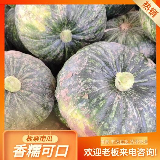 四子王旗板栗南瓜，产地直发，一手货源，香糯可口，电商，市场均可。