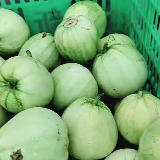 平果市甜瓜
