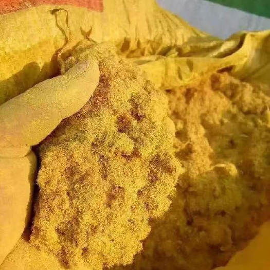 亳州求购蒲黄