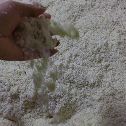 惠东县新鲜豆渣