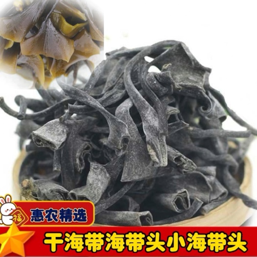 海带头干海带海带头海带根海带小头海带头短头