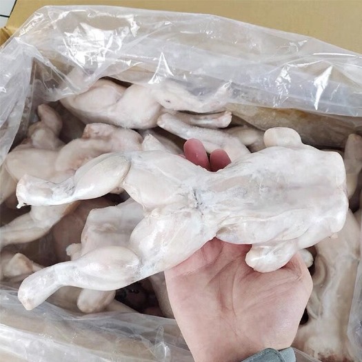 汕头整箱免浆 牛蛙 商用腌制半成品新鲜冷冻牛蛙切块火锅干锅香辣田