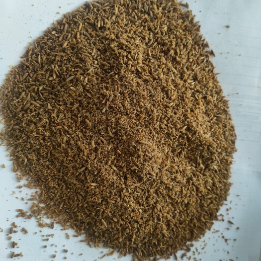 乐陵市孜然大颗粒，中粗，粉各种价格各种质量